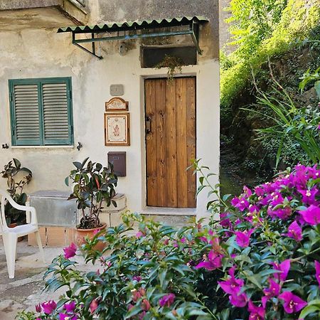 Appartamento Nel Borgo - Casa Del Pellegrino Sulla Via Francigena Аула Экстерьер фото